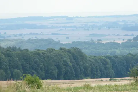 Rozległy krajobraz z zielonymi wzgórzami strzelińskimi w oddali, pokrytymi lasami i polami.