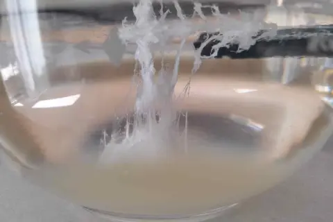 La reazione chimica che ricorda come fare la barca di San Giovanni: filamenti bianchi si formano in un liquido torbido.