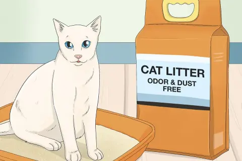 A white cat sits in a litter box next to a bag of cat litter, illustrating how to train a cat to use a litter box.