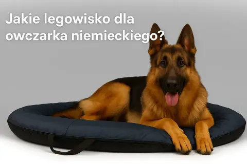 Jakie legowisko dla owczarka niemieckiego zapewni mu komfort i zdrowie
