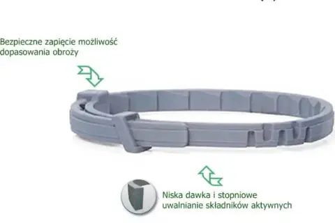Obroża Foresto czy tabletki - co wybrać dla swojego psa?