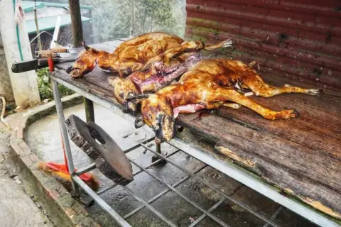 W jakim kraju jedzą psy? Zaskakujące tradycje kulinarne świata