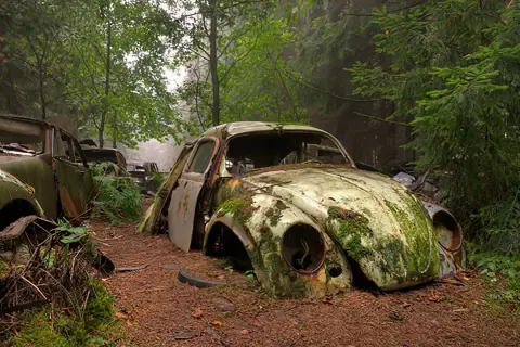 Dans ce cimetière de voiture, une coccinelle rouillée et envahie par la mousse repose au milieu d'une forêt luxuriante.
