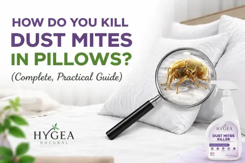 Learn how to get dust mites out of pillows with this guide. Magnified image shows a dust mite on a pillow, with a spray bottle nearby.