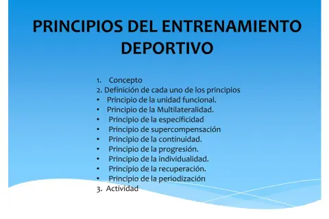 Entrenamiento: qué es, principios y tipos para transformar tu vida