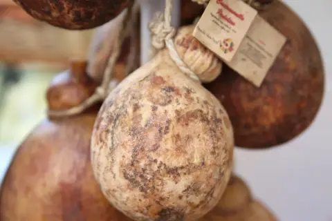 Forme tonde e rustiche di caciocavallo podolico del Gargano, appese con spago, con etichette che ne raccontano la storia.