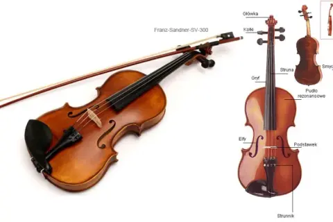 Skrzypce: Jaki to instrument? Budowa, dźwięk i historia