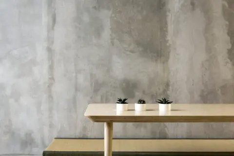 Minimalistyczne wnętrze z surową, betonową ścianą. Na jasnym drewnianym stole stoją trzy małe rośliny w białych doniczkach. Pytanie: czy beton architektoniczny można malować?