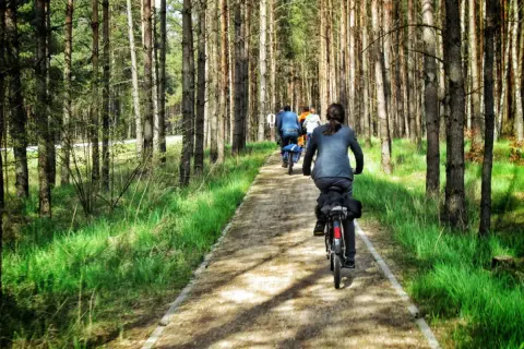 Grupa rowerzystów przemierza leśną ścieżkę wśród sosen. Malownicze wzgórza ostrzeszowskie zapraszają do aktywnego wypoczynku.