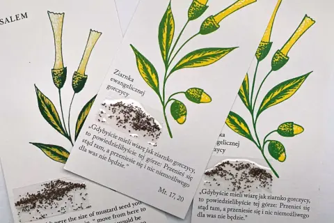 Ilustracje gałązek z żółtymi kwiatami i liśćmi, z przyklejonymi ziarnkami gorczycy. Cytat z Ewangelii Mateusza o przypowieści o ziarnku gorczycy.