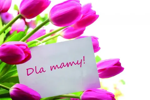 Piękne, różowe tulipany z kartką "Dla mamy!" idealne na Dzień Matki.