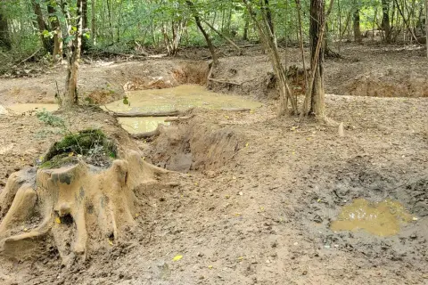 Un sentier boueux et des flaques d'eau dans une forêt, rappelant les chemins accidentés du massif des Trois Pignons.
