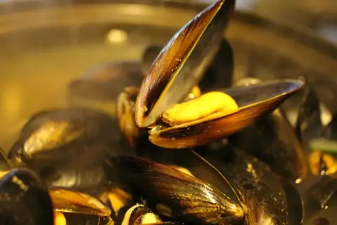 Moule normande c'est quoi ? Des moules cuites à la vapeur, ouvertes sur un jus doré. Un délice !