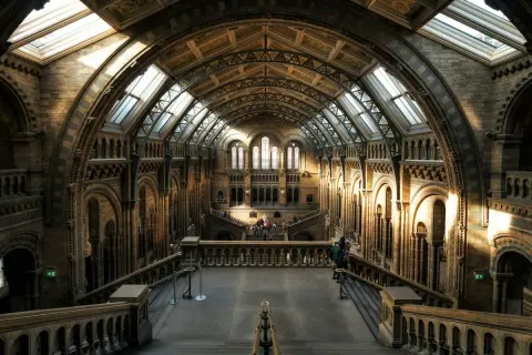 Wnętrze Muzeum Historii Naturalnej w Londynie. Sprawdź muzeum historii naturalnej londyn cena biletu, by zaplanować wizytę.