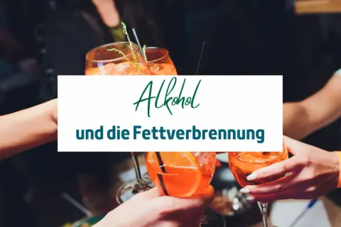 Hände stoßen mit Cocktails an. Text: "Alkohol und die Fettverbrennung". Wie lange stoppt Alkohol die Fettverbrennung?