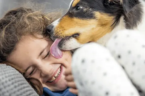 A dog licks a laughing child's face. The question of whether dogs' mouths are cleaner than humans' is a common one, but this image captures a moment of pure joy.