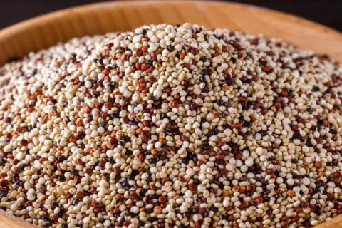 Ein Haufen bunter Quinoa, ein nährstoffreiches Pseudo-Getreide, in einer Holzschale.