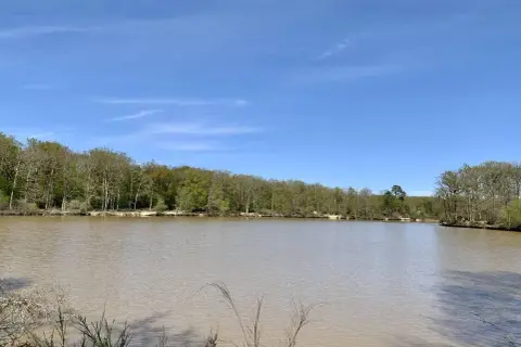 Calme lac bordé par la forêt de Bouconne, idéal pour un itinéraire de randonnée paisible.