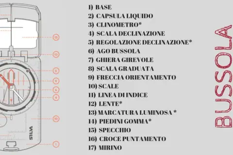 La bussola spiegata ai bambini: un'illustrazione dettagliata mostra le parti di una bussola, dall'ago alla lente, per imparare a orientarsi.