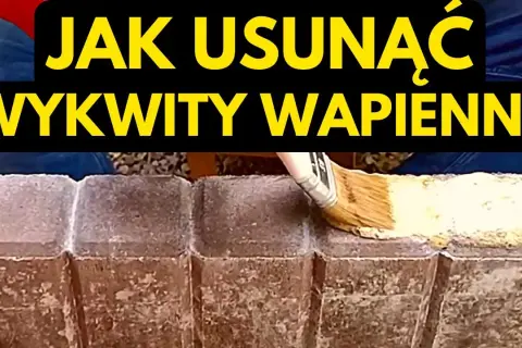 Czysty klinkier na tarasie? Poradnik: jak usunąć mech, wykwity i brud!