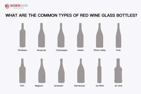 Illustrazione dei diversi nomi bottiglie vino: Bordeaux, Burgundy, Champagne, Hawke, Rhône Valley, Flute, Port, Magnum, Jeroboam, Salmanazar, Ice Wine, art wine.