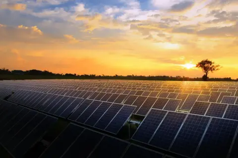 Un vasto campo de placas solares refleja el atardecer dorado. El sol se oculta tras un árbol solitario, iluminando el cielo con tonos naranjas y amarillos.