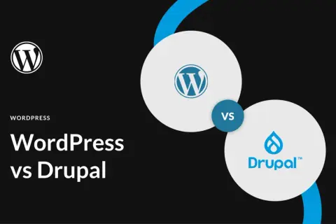 Drupal czy WordPress - który CMS lepszy dla Twojego projektu?