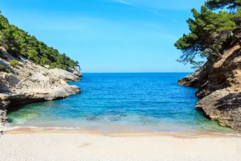 Una cala rosa spiaggia incastonata tra rocce e pini marittimi, con acque cristalline e un cielo azzurro intenso.
