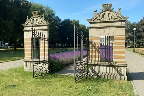 Otwarta brama w parku, z kwitnącą lawendą i ławkami w tle.