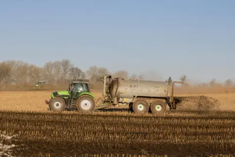 Zielony traktor z przyczepą rozprowadza obornik pod warzywa na polu.