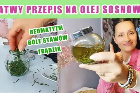 Jak zrobić olejek eteryczny z sosny w prosty sposób w domu