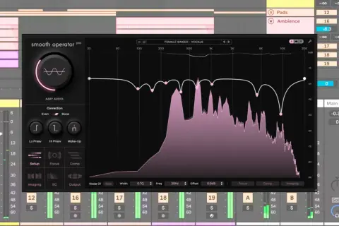 Ein Equalizer-Plugin zur Korrektur von Frequenzen, um Netzbrummen zu entfernen. Die Grafik zeigt eine stark zerklüftete Frequenzkurve.