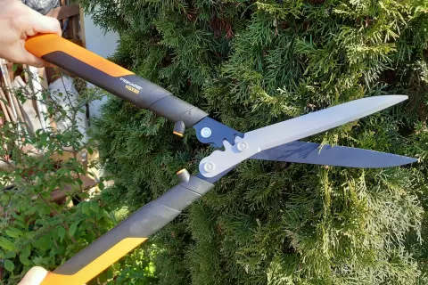 Ręka trzyma nożyce Fiskars, gotowe do przycinania gęstej, zielonej tuja kulista.