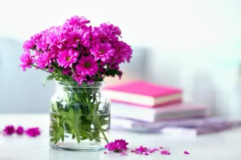 Jakie kwiaty dla wychowawczyni? Odkryj idealne propozycje na prezent