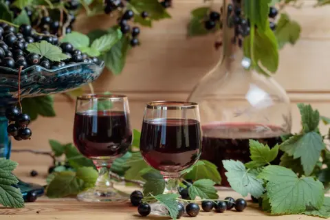 Dwa kieliszki ciemnego likieru, jakby z samego Chambord, otoczone świeżymi czarnymi porzeczkami i liśćmi.