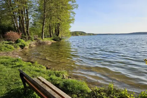 Ławka nad jeziorem GIM. Woda lśni w słońcu, a drzewa szumią na brzegu. Idealne miejsce na odpoczynek.