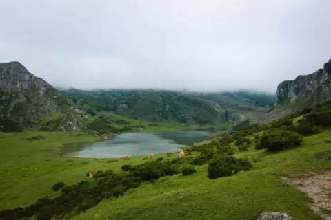 Mgliste góry w Hiszpanii, zielone wzgórza i spokojne jezioro. Kilka krów pasie się na trawiastym zboczu, tworząc sielski krajobraz.