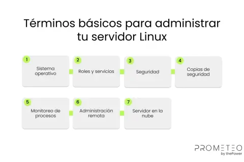 Diagrama de términos básicos para administrar un servidor Linux: sistema operativo, roles, seguridad, copias, monitoreo, administración remota y servidor en la nube.