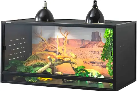 Jak zbudować terrarium dla żółwia? Praktyczny poradnik DIY