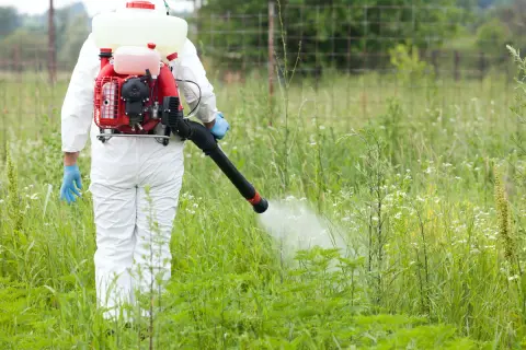 Osoba w białym kombinezonie używa opryskiwacza plecakowego spalinowego do zwalczania chwastów na łące.