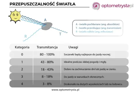 Jak daleko widzi gołąb? 340° wzroku i UV poznaj prawdę