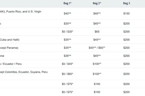 American Airlines Gepäck: Kosten, Regeln & Spartipps (2024)