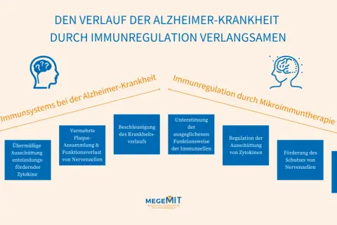 Grafik zeigt, wie Immunregulation den Verlauf von Alzheimer verlangsamen kann, von gestörten Immunzellen zu Schutz von Nervenzellen.