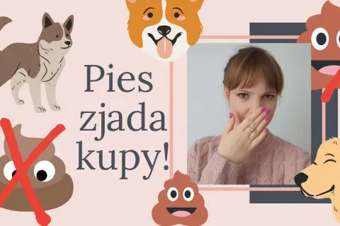 Szczeniak zjada swoje odchody - jak skutecznie temu zapobiec?