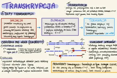 Schemat transkrypcji: inicjacja, elongacja, terminacja. Eukarioty: obróbka pre-mRNA, splicing. **Positivum dawkowanie** w procesie syntezy białek.