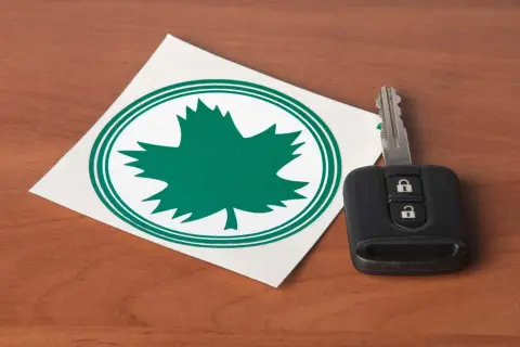 Zielony listek na aucie, symbol natury i wolności, obok kluczyka do samochodu.