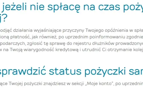 Provident: Jak sprawdzić zadłużenie? 3 proste metody!