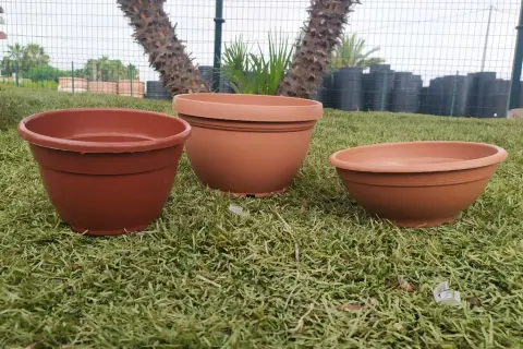 Cómo elegir la mejor pintura para macetas de barro y evitar errores