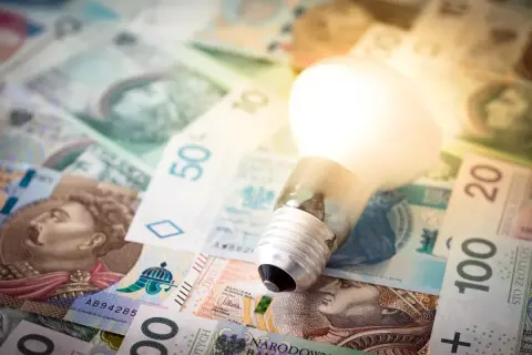 Żarówka na stosie polskich banknotów. Zastanawiasz się, ile kosztuje 1 kWh PGE?