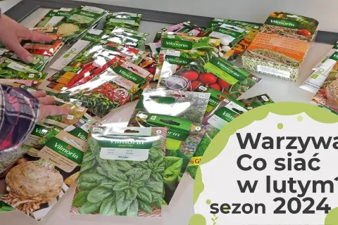 Co można uprawiać w różnych warunkach? Odkryj najlepsze rośliny